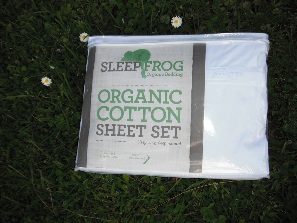 Organic Cotton Sheet